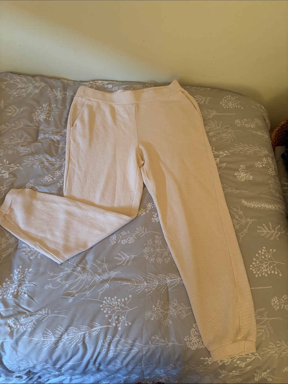 Michael Stars Ribbed Jogger Pants in Light Blush